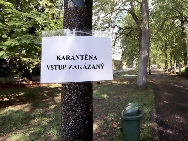 Ďalšie karanténne zariadenie je v Nitre, ide o internát