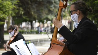 Umelcom udelili výnimku na rúška. Musia splniť podmienky