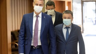 Divadlo, tvrdí o výbere nového šéfa VšZP Raši. Navrhne prieskum