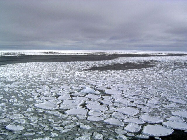 Zelený sneh na Antarktíde? Klimatické zmeny to môžu spôsobiť