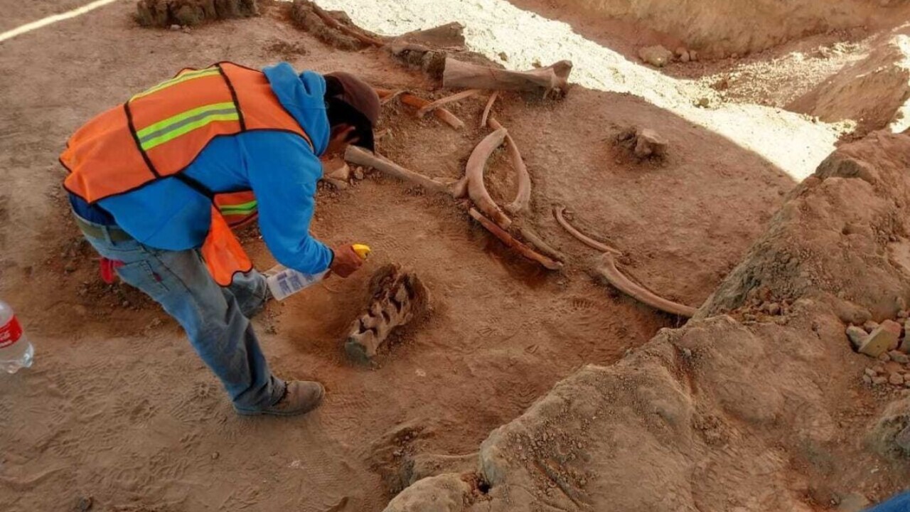 Objavili kosti 60 mamutov, môžu zmeniť pohľad na pravekých ľudí