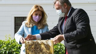 Včely nepatria len na vidiek, dva úle osadili aj u prezidentky
