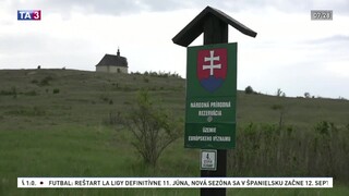 Pod Spišským hradom rastie vzácna rastlina, bojujú o jej záchranu