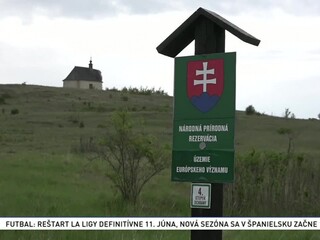 Pod Spišským hradom rastie vzácna rastlina, bojujú o jej záchranu