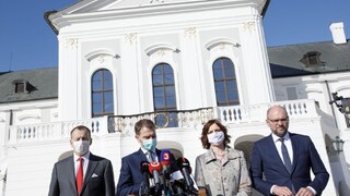 Koalícia nebude mať podľa Krajniaka spoločného kandidáta na GP