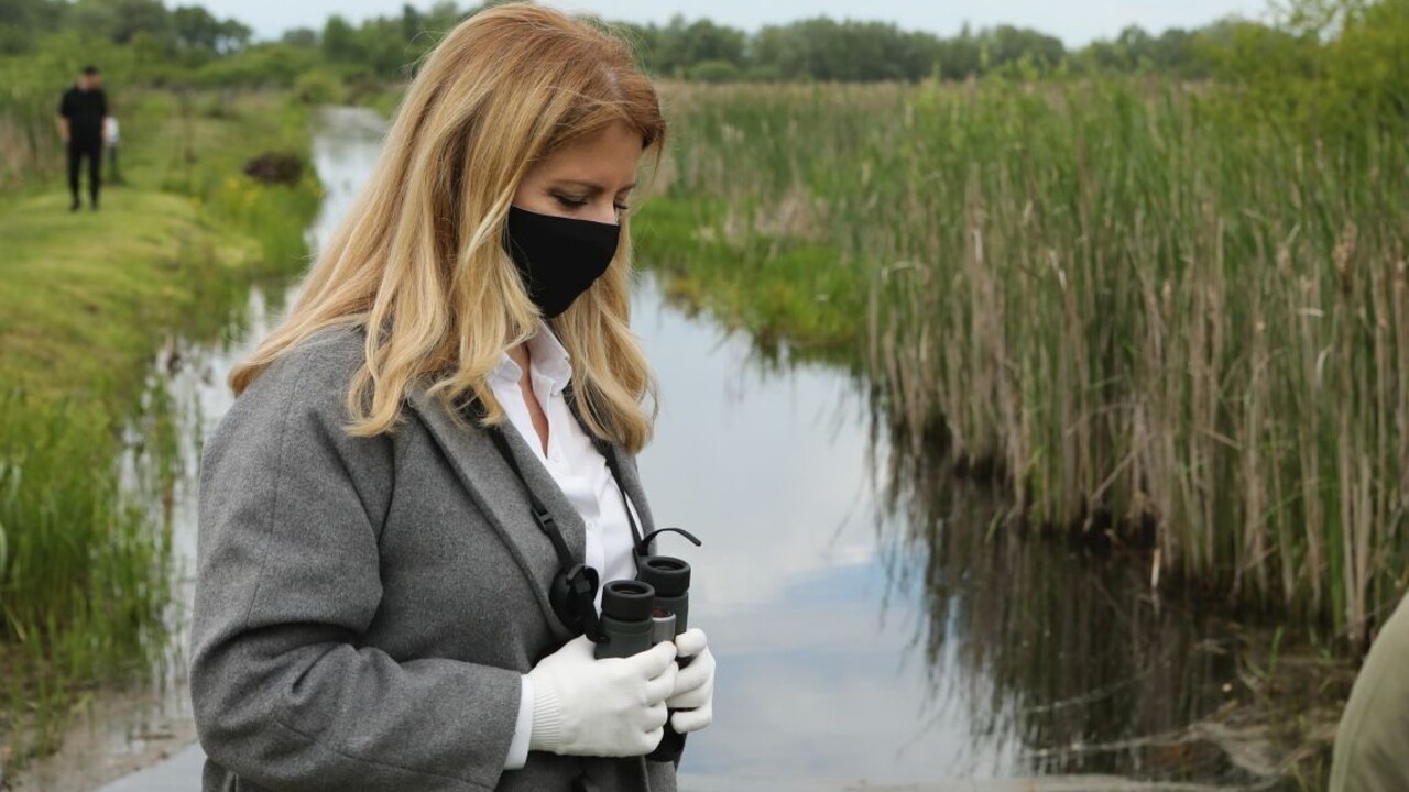 Prezidentka vyzvala na ochranu prírody: Nebuďme ľahostajní