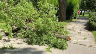 Na ženu s dieťaťom spadol v parku konár. Skončila v nemocnici