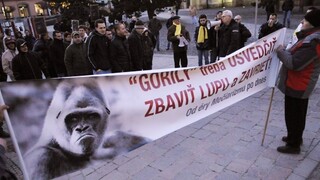 Fico bol vypovedať na NAKA. Má ísť o nahrávku Gorily od Trnku