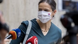 Treba to dôsledne vyšetriť, tvrdí Kolíková o zásahu vo vládnej agentúre
