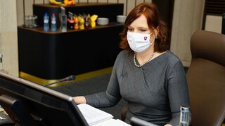 Ide o závažné podozrenia, reagovala Remišová na kauzu NASES