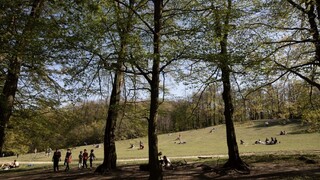 Pandémia spustila diskusiu o duševnom zdraví