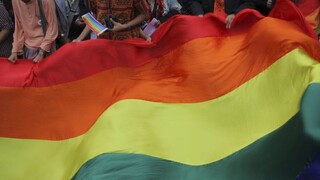 Dúhovú vlajku mal aj prezident. Viedeň podporila sexuálne menšiny
