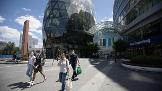 Slováci sú citlivejší na ceny, vyhľadávajú skôr akciový tovar