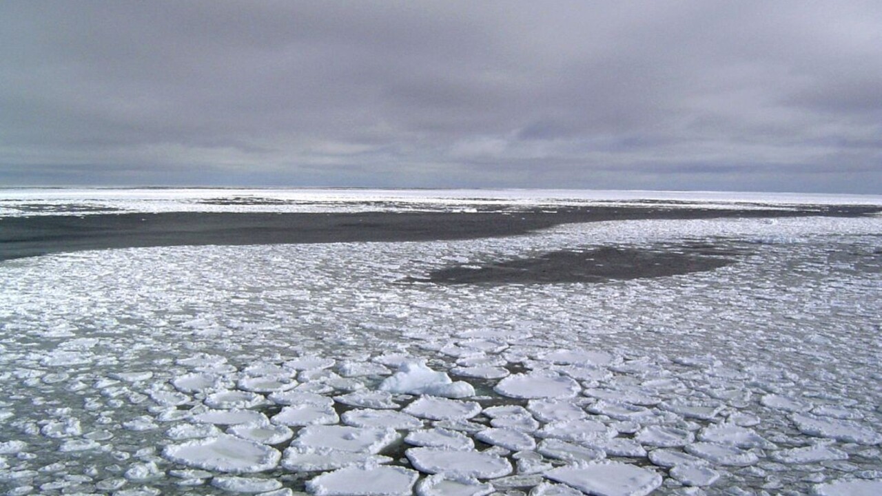 Odhalili tajomstvo obrovského vajca, ktoré objavili v Antarktíde