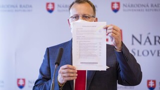 Kollár by mal pre diplomovku odstúpiť, myslí si minister Mičovský