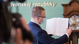 Kollárovi titul zobrať nemôžu, minister chce zmeniť zákon