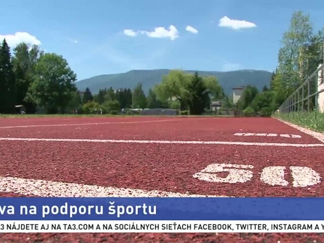 Siekel zostáva prezidentom SOŠV, dôvodom je odklad olympiády
