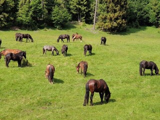 Hľadajú spôsoby zonácie Muránskej planiny, Kollár s ňou súhlasí