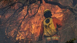 V Brazílii môžu požiare prekonať tie vlaňajšie, obávajú sa vedci