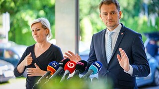 Kollárovou diplomovkou sme stratili dva týždne, tvrdí Matovič