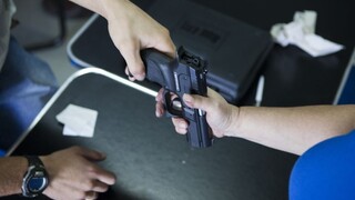 V Česku schválili návrh na zmenu ústavy, ide o právo na zbraň