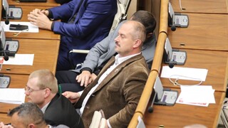 Kotleba chválil "krištáľovo poľské" interrupčné zákony ĽSNS
