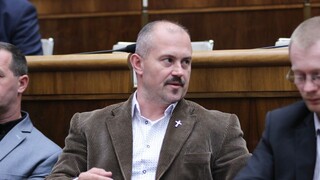 Parlament odmietol návrhy Kotlebovcov o interrupciách