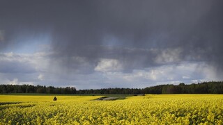 Poľnohospodári môžu požiadať o priame platby, stav na poliach skontroluje satelit