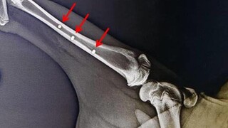 Slovenskí vedci vytvorili supermateriál na báze titánu a horčíka