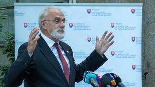 Matovič o svojej diplomovej práci nepresvedčil vlastného ministra