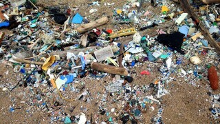 V priebehu 20 rokov vysypeme do prírody miliardu ton plastov