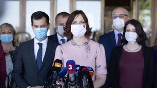 Rozhodne o šéfovi kiskovcov súťaž? Navrhli troch kandidátov