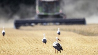 Stovky ľudí z farmy skončili v karanténe, objavili ohnisko nákazy