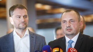 Kyselica kandidoval do NR SR ako tajný. Ministri mu dôverujú