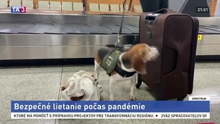 Výstava v potopenom gulagu / Bezpečné lietanie počas pandémie