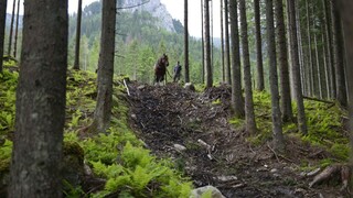 S morom je to vážne. Mičovský ocenil nový prístup k drevu