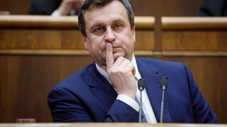 SNS chce referendom dosiahnuť predčasné parlamentné voľby