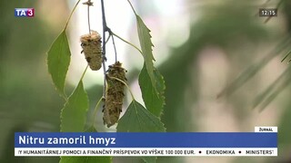 Nitra bojuje so zapáchajúcim hmyzom, začali s postrekmi