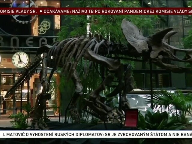 Nevyspytateľné letné počasie / Rakovinou trpeli už dinosaury / Umelá koža môže vrátiť hmat
