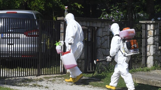 Africký mor sa šíri, našli ho v ďalšom domácom chove