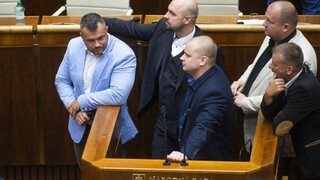 Nakazil sa prvý slovenský poslanec. Je z ĽSNS, ktorá vírus spochybňuje