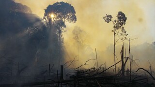 Amazonský prales ničia požiare, sú rozsiahlejšie ako predtým