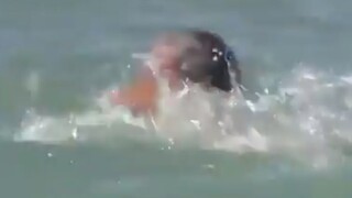 Portugalský prezident zachraňoval ženy, ktorým sa prevrátila loď