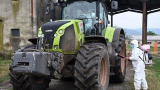 Ceny mäsa sa môžu výrazne zmeniť, ekonomiku ohrozuje mor