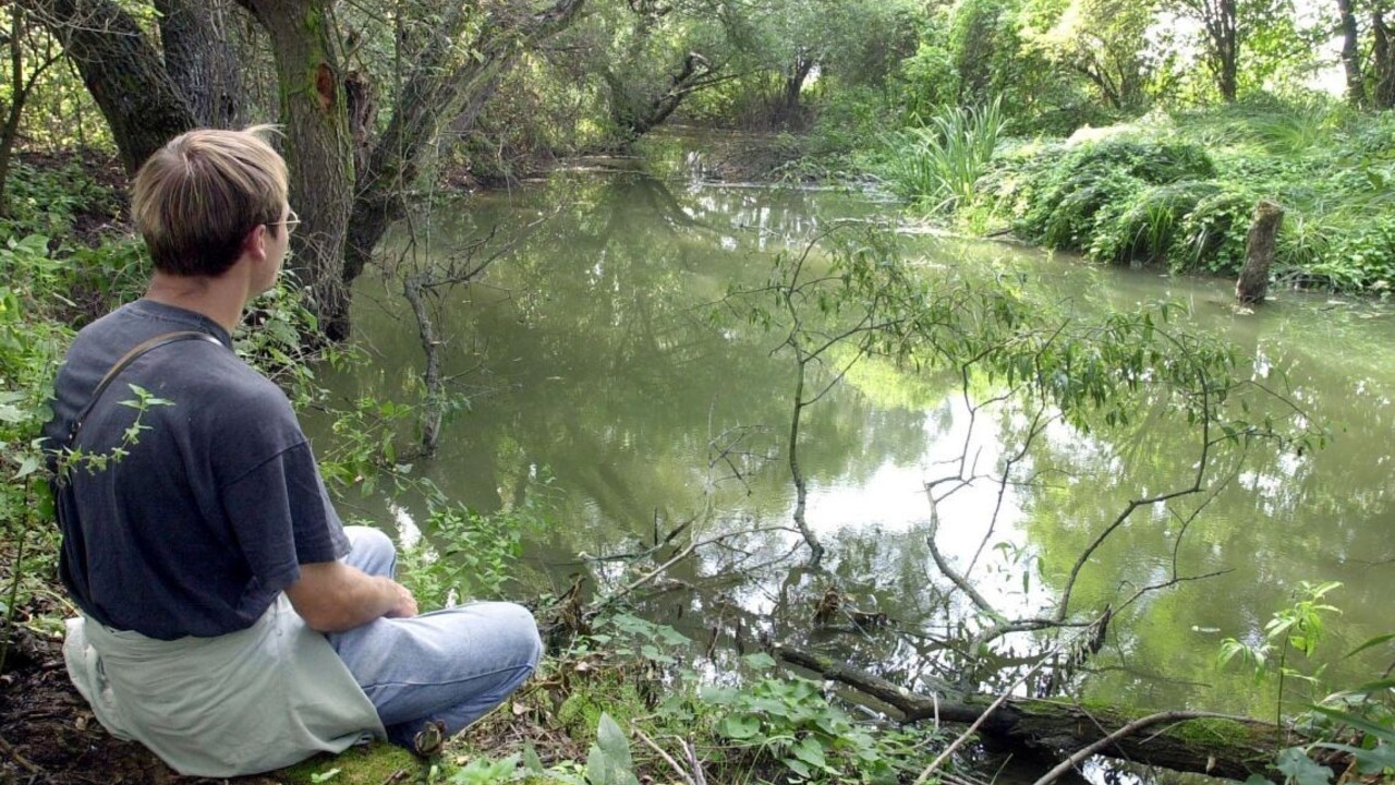 Na Slovensku čoskoro pribudne päť nových chránených areálov