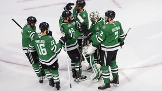 NHL: Dallas Stars sú len krok od finále, Sekera si pripísal hit
