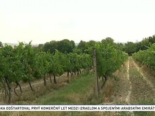 Nepoznané Slovensko: Pezinok a Svätý Jur