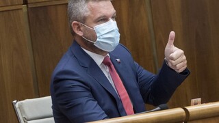 Mňa netreba vyzývať. Pellegrini skončí ako podpredseda NR SR