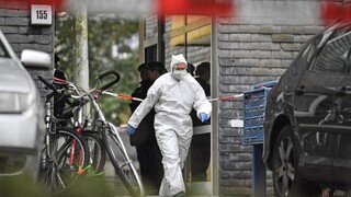 V byte v Nemecku našli päť mŕtvych detí, zrejme ich zabila mama