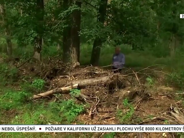 Voda pod drobnohľadom / Stredozemné stromy v Nemecku / Na vlnách bez nevoľnosti